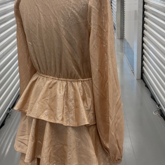 Mazik Tan Blush Pink Gold Ruffled Tiered Gown with Mandarin Collar - Picture 14 of 15